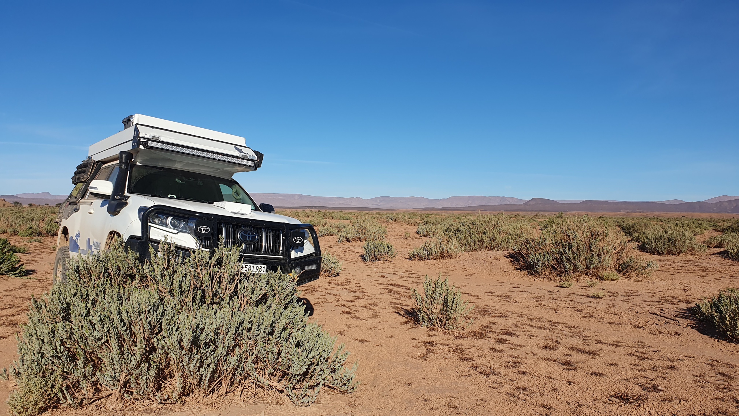 20 km durch die Büsche ohne Piste