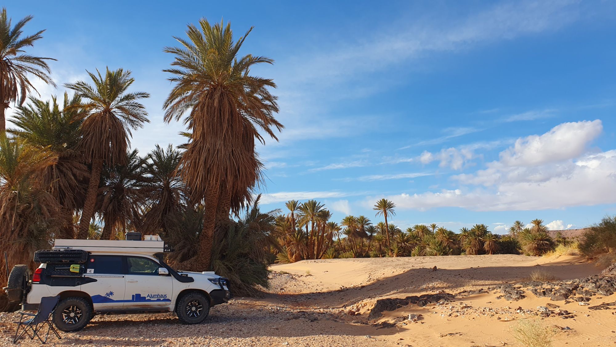 Nachtplatz im Palmengaren